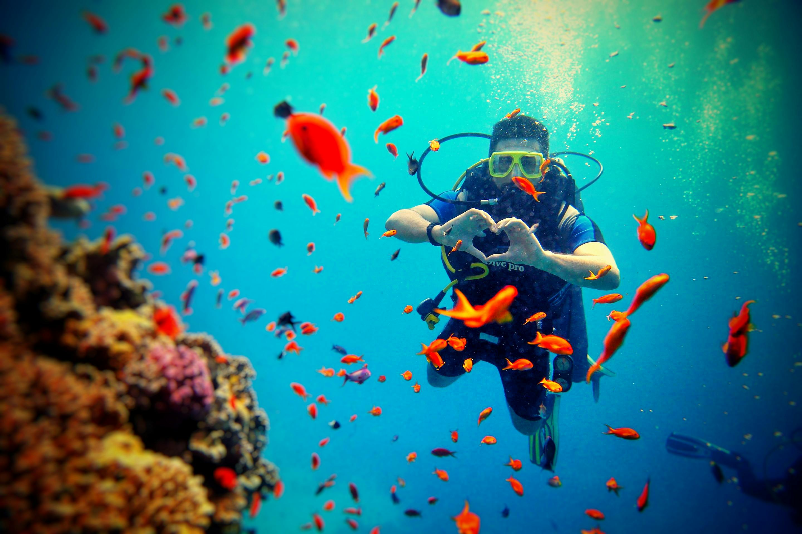 La provincia aprobó actividades de buceo y snorkel con fauna marina en el puerto de Comodoro Rivadavia.