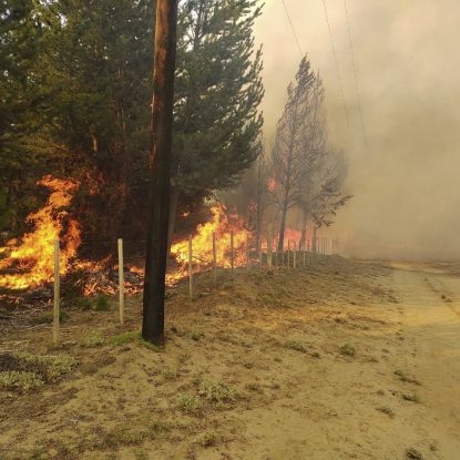Soldados fueron capacitados en manejo del fuego en prevención de incendios forestales - Noticias "d" Misiones