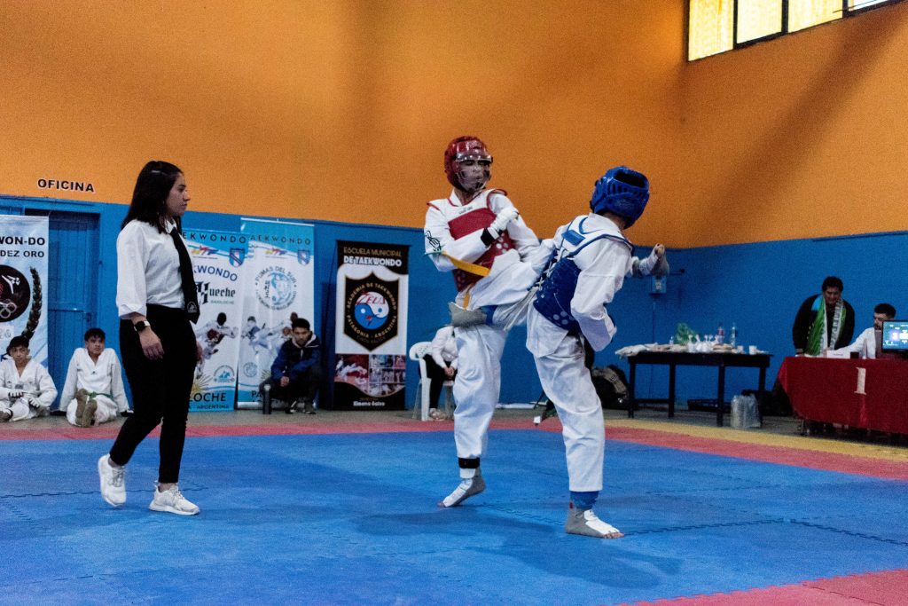 Festival Infantil de Taekwondo
